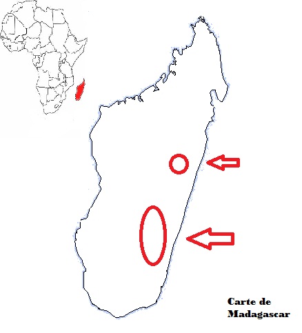 carte de localisation du grand hapalémur