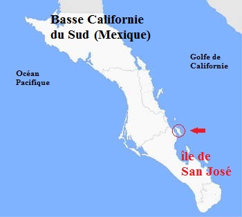 Localisation du rat kangourou en basse Californie