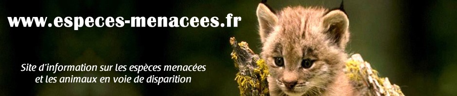 Espèces menacées et  animaux en voie de disparition