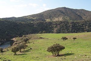 Paysage Parc national "Sierra de Andújar"