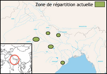 Répartition Gavial du Gange