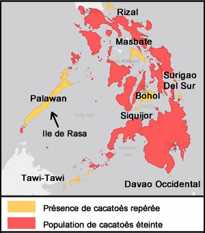 Carte des philippines - Cacatoès