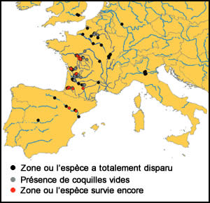 répartition de la grande mulette