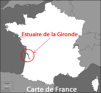 Localisation de l'esturgeon