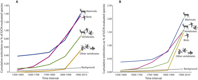 les extinctions se sont accélérées