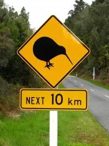 panneau danger kiwi