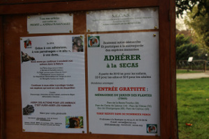 affiches SECAS