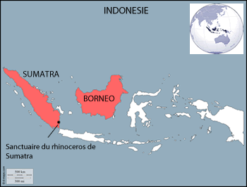 archipel indonésie