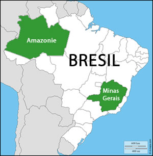 etat brésilien