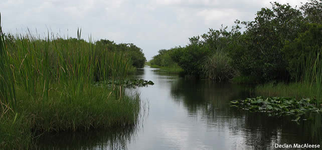 Floride, USA