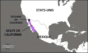 aire de répartition totoaba