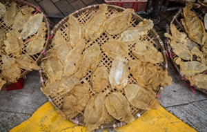 marché noir totoaba