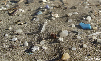 plastique sur plage