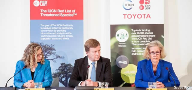 toyota partenaire uicn