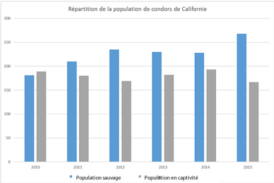 statistiques population condor libre et en captivité