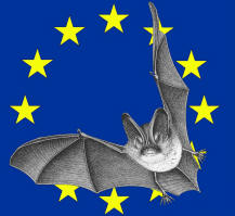 nuit internationale de la chauve souris