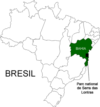 localisation de Bahia au brésil