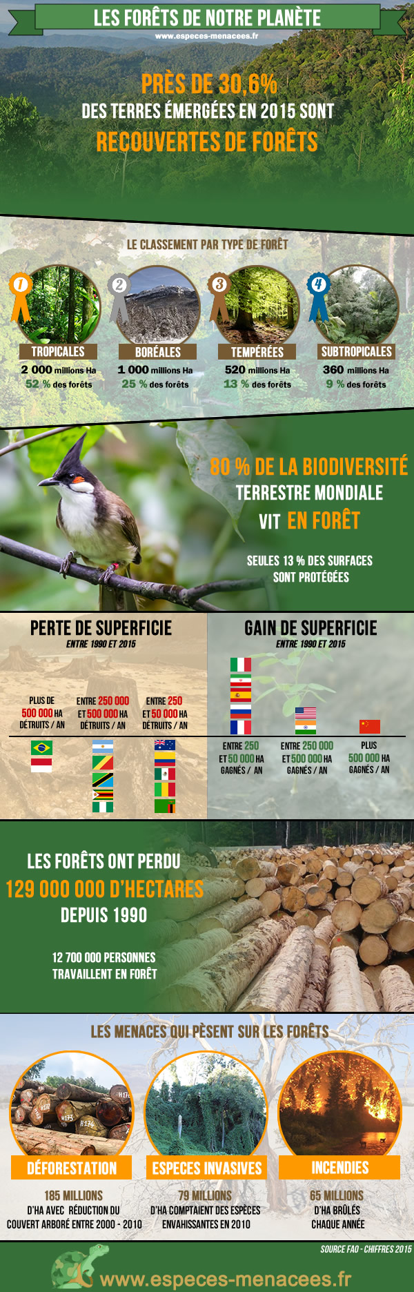 Infographie sur les forêts