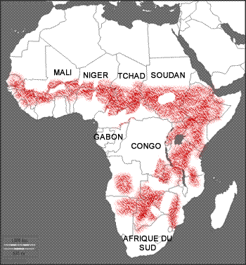 carte continent afrique