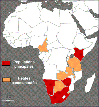 carte afrique rhinocéros noir