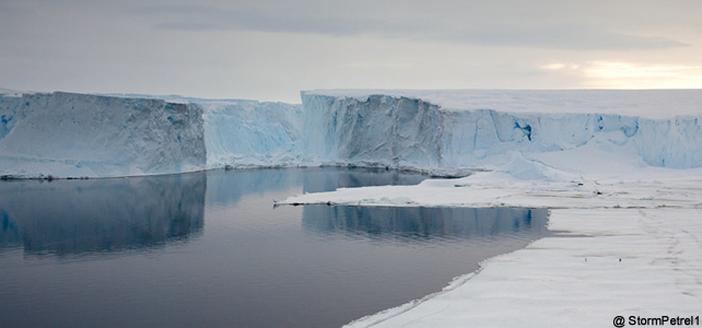 antarctique