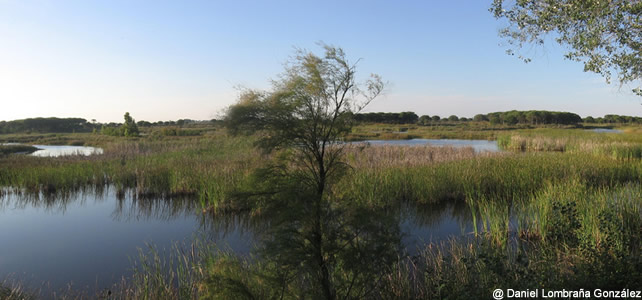 parc national espagnol