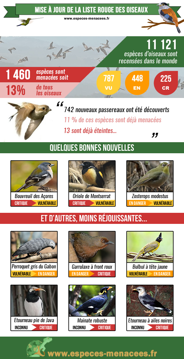 liste rouge oiseaux menacés