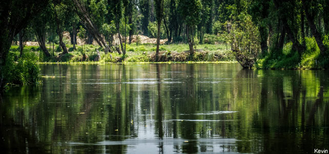 lac mexique