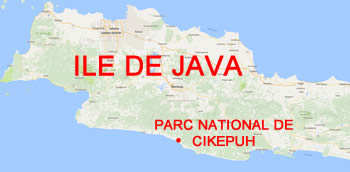 ile de java