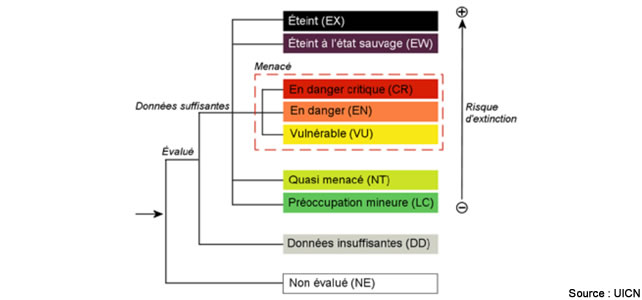 catégorie uicn