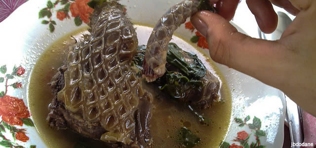 plat de pangolins