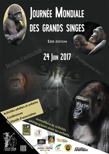affiche gorilla rescue