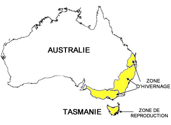 carte australie et tasmanie