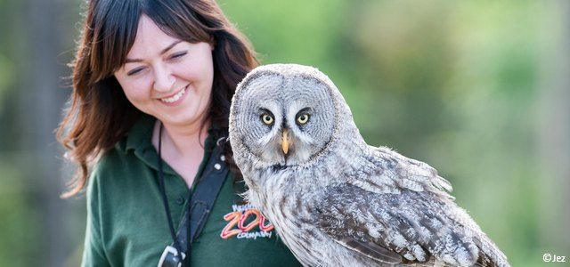 Employée d'un parc zoologique portant une chouette