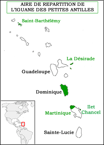 carte antilles