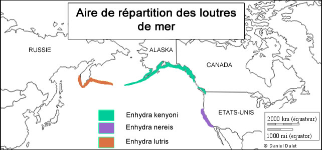 aire de répartition Enhydra lutris