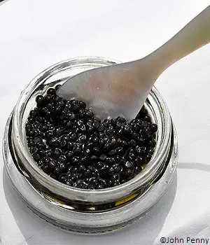 Caviar sauvage