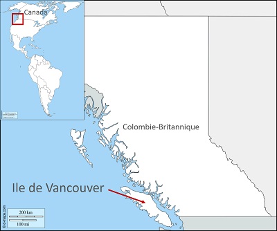 Habitat de la marmotte de l'île de Vancouver