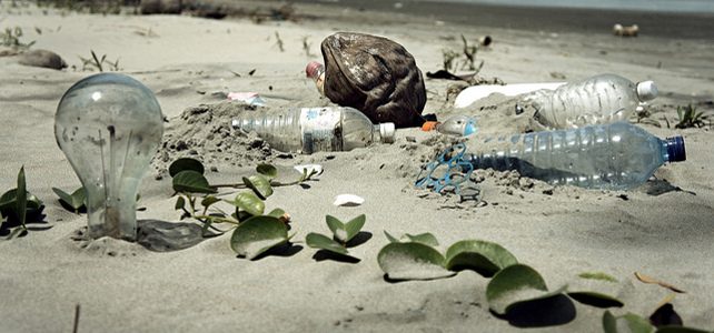 L'Homme pollue la planète