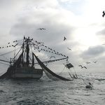 Lutte contre la surpêche : l’Indonésie choisit la manière forte
