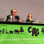 66e session de la CITES : tous en ordre de bataille pour la COP17