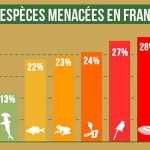 Bilan des espèces menacées en France