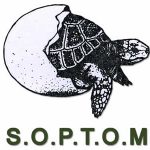 SOPTOM – L’association de protection des tortues d’Hermann