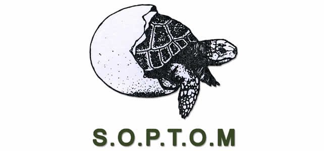 logo association tortues hermann