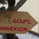 MP Puech, Goupil Connexion : « On apprend à lire, écrire mais pas à connaître le monde »