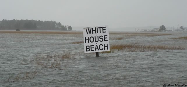 changement climatique trump