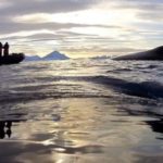 Etudier l’Antarctique grâce à des caméras fixées à dos de baleines