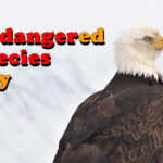 19 mai 2017 : Journée mondiale des espèces menacées