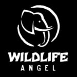 Wildlife Angel, une ONG qui forme les rangers en Afrique