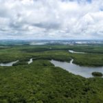 La multiplication des barrages sur l’Amazone, fausse bonne idée ?